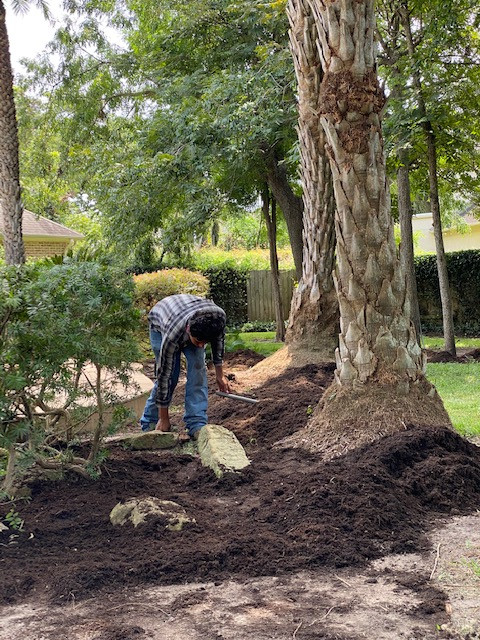 Landscaping, Mulch & Trimming