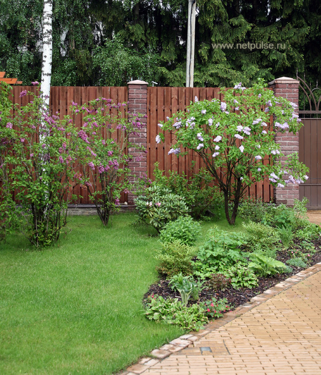 Наши работы по озеленению