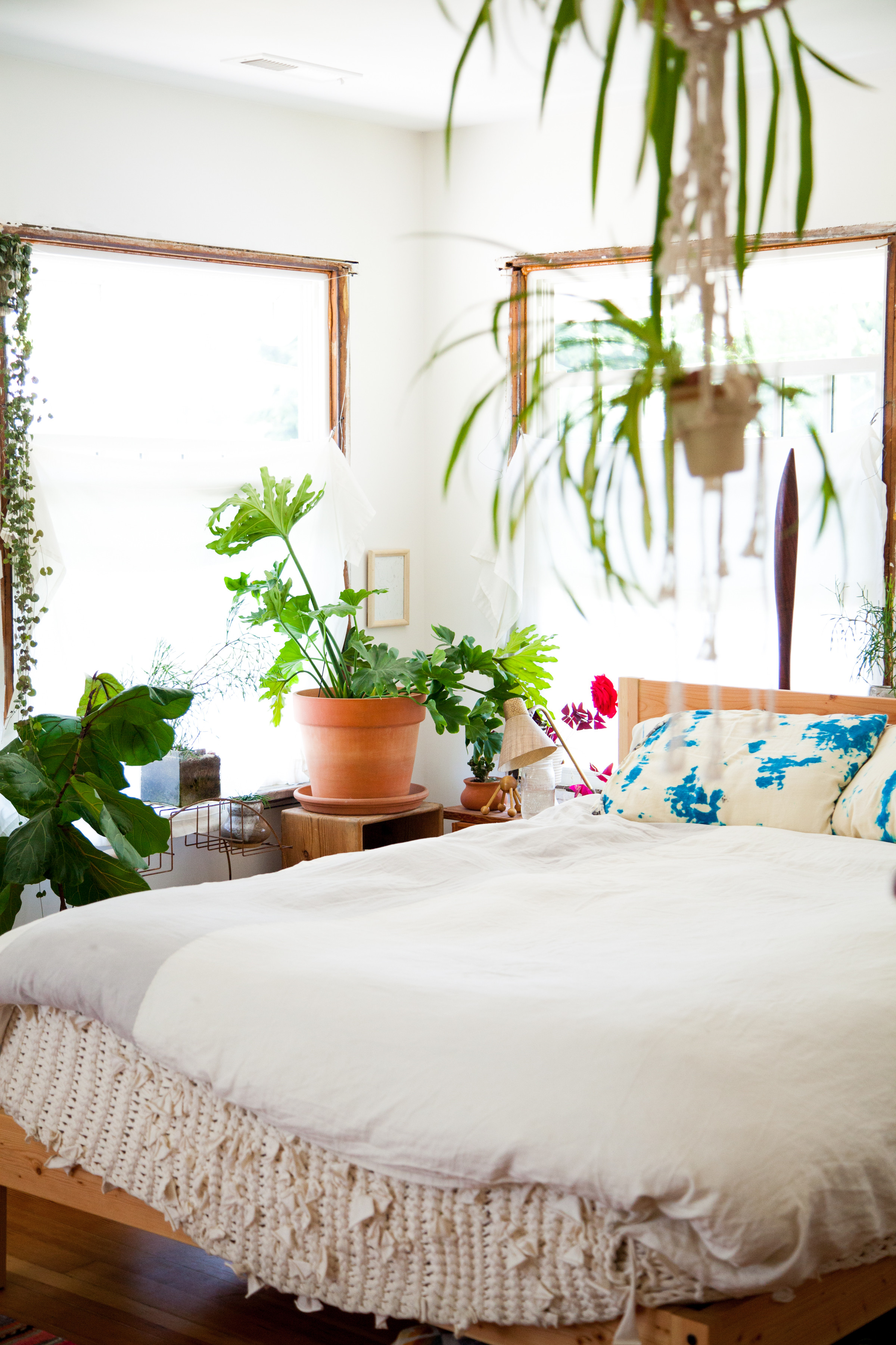 sommerhafer saatgut kaufen BIO Saatgut Getreide Sommerhafer  Biogartenladen