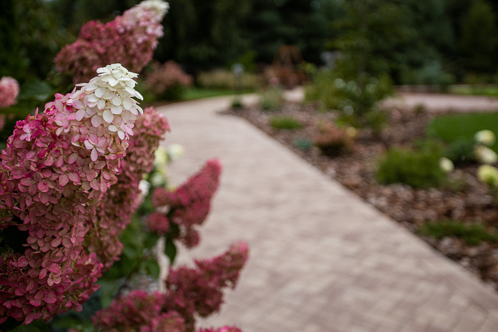 Ландшафтный дизайн. Полина Черных