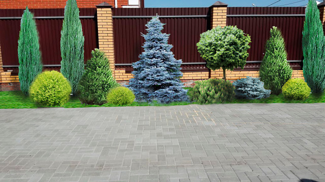 Проект « Сад для семьи»