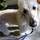 sandy_gardner52