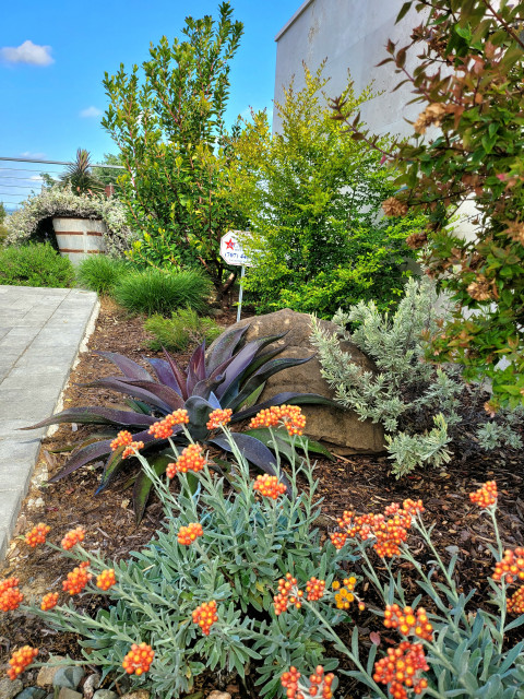 Modern Countryside In Bloom modern-garden