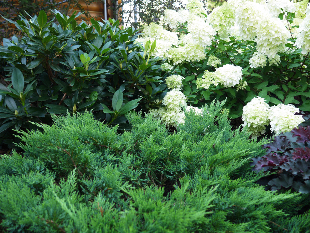 Белоостров