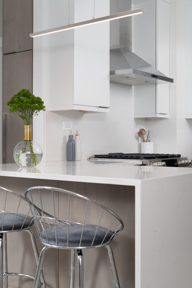 Kitchen - transitional kitchen idea in Chicago