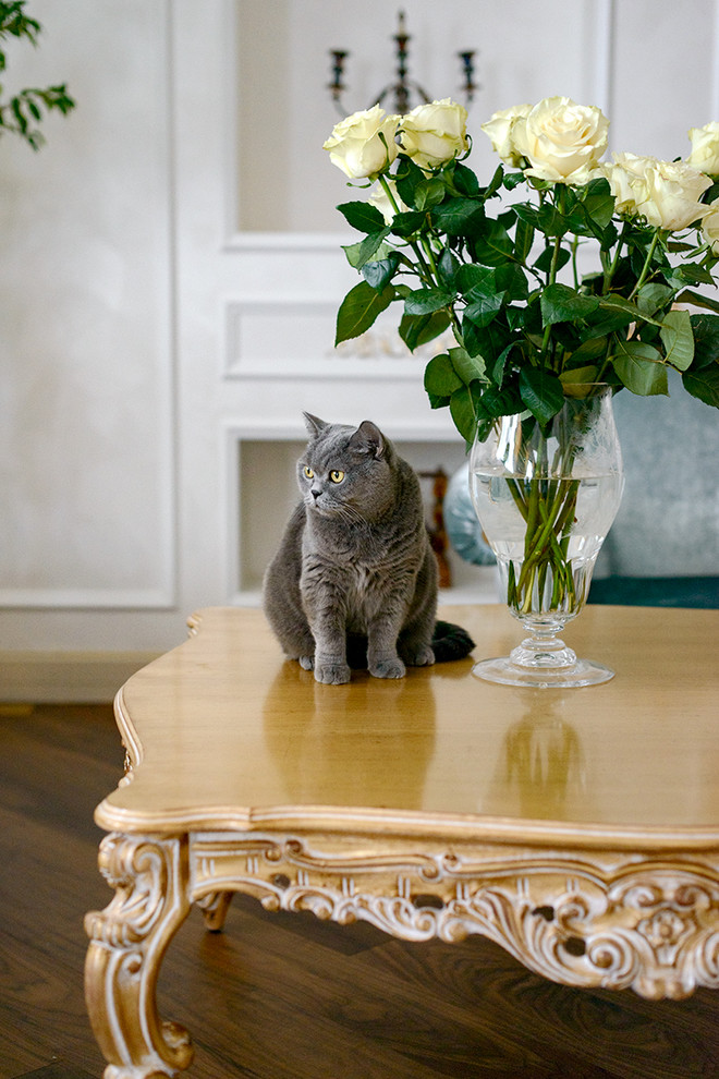 Мебель для квартиры