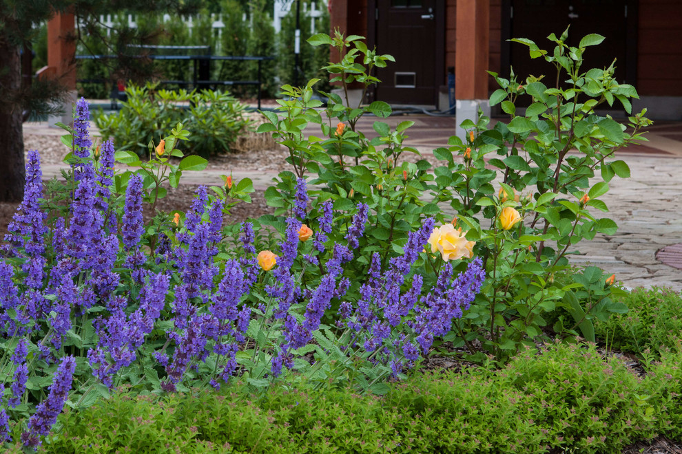 ПОЛЕТ ШМЕЛЯ