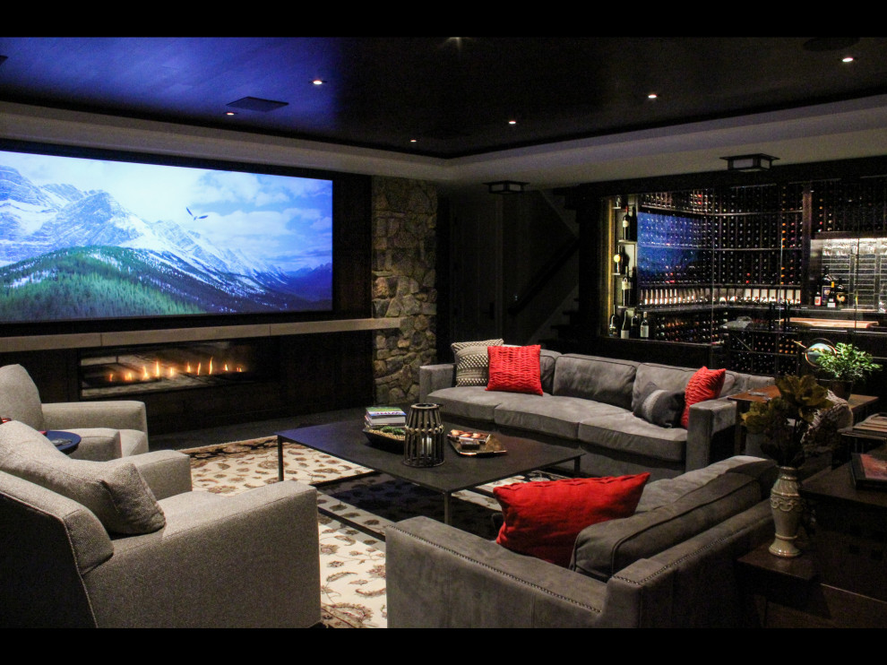 This is an example of a transitional walk-out basement in Other with a ribbon fireplace.