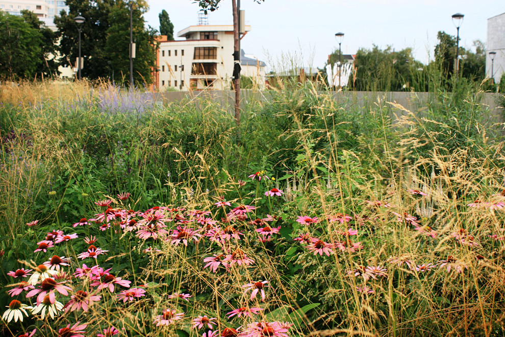 Цветники Советской площади
