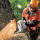 Leicester Tree Removal