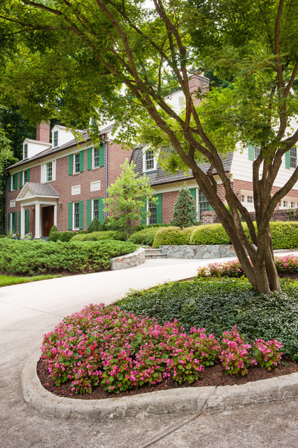 Driveway Island Planting - Traditional - Garden - dc metro ...