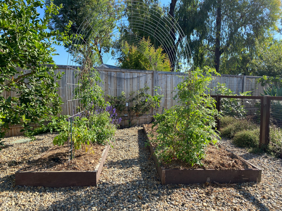 Cette image montre un jardin potager latéral minimaliste avec une exposition partiellement ombragée, des pavés en béton et une clôture en métal.