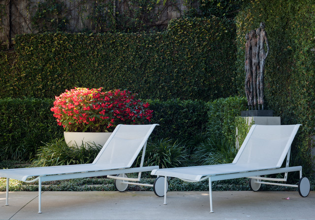 Contemporary Formal contemporary-garden