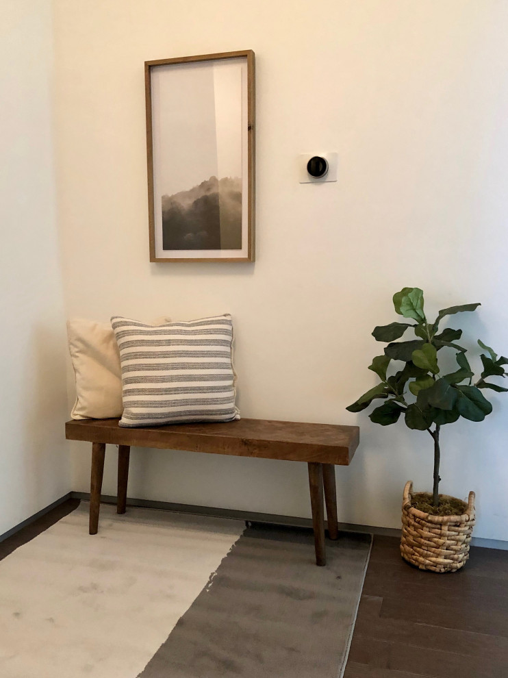 Photo of a small contemporary foyer in Boston with white walls, dark hardwood floors, a single front door, a white front door and brown floor.