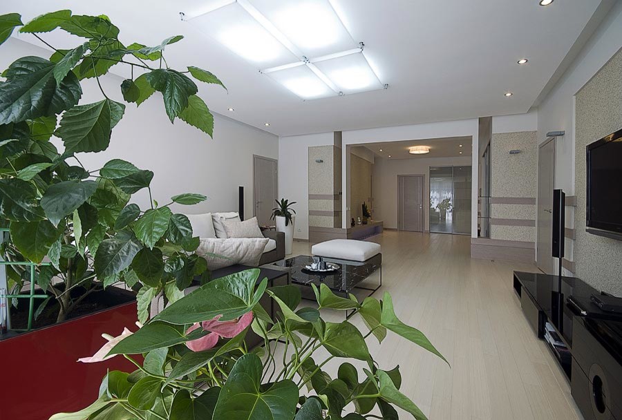 Белая Рапсодия