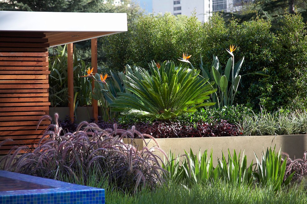 Inspiration for a contemporary garden in Melbourne with a retaining wall.