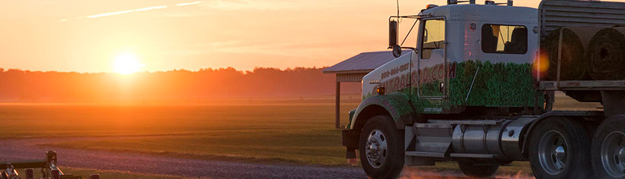 Central Sod Farms Inc Centreville Md Us