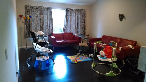 Need Suggestions For Area Rug To Match Red Couch And Dark Flooring