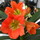 Last commented by Julie Gleason