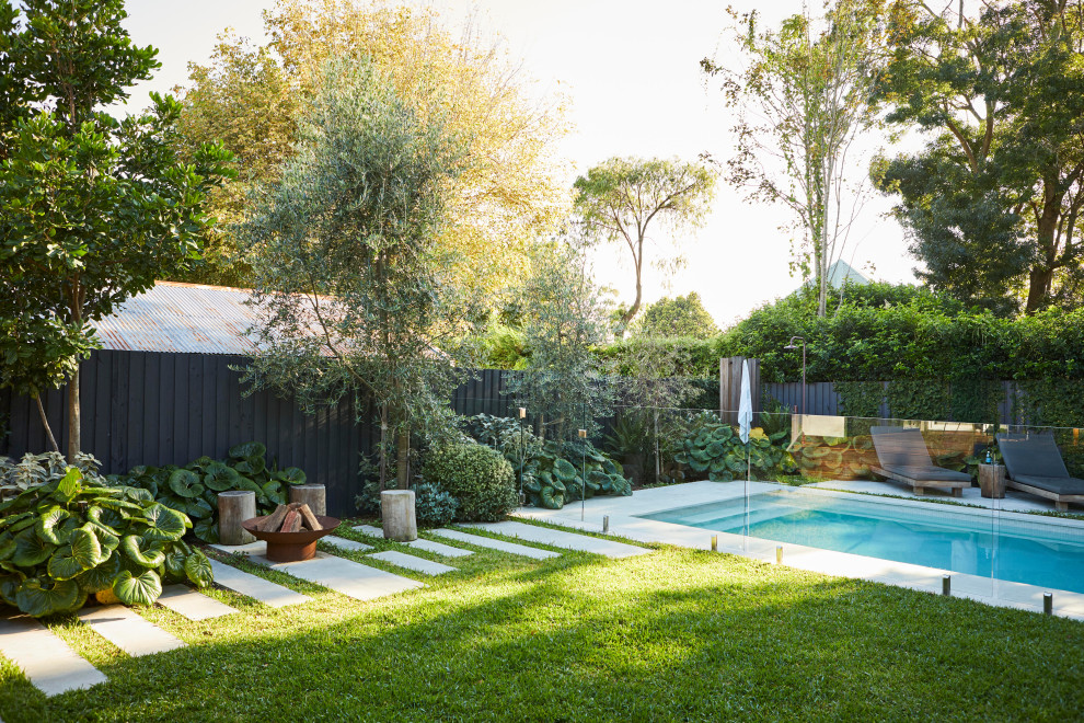 Design ideas for a contemporary pool in Sydney.