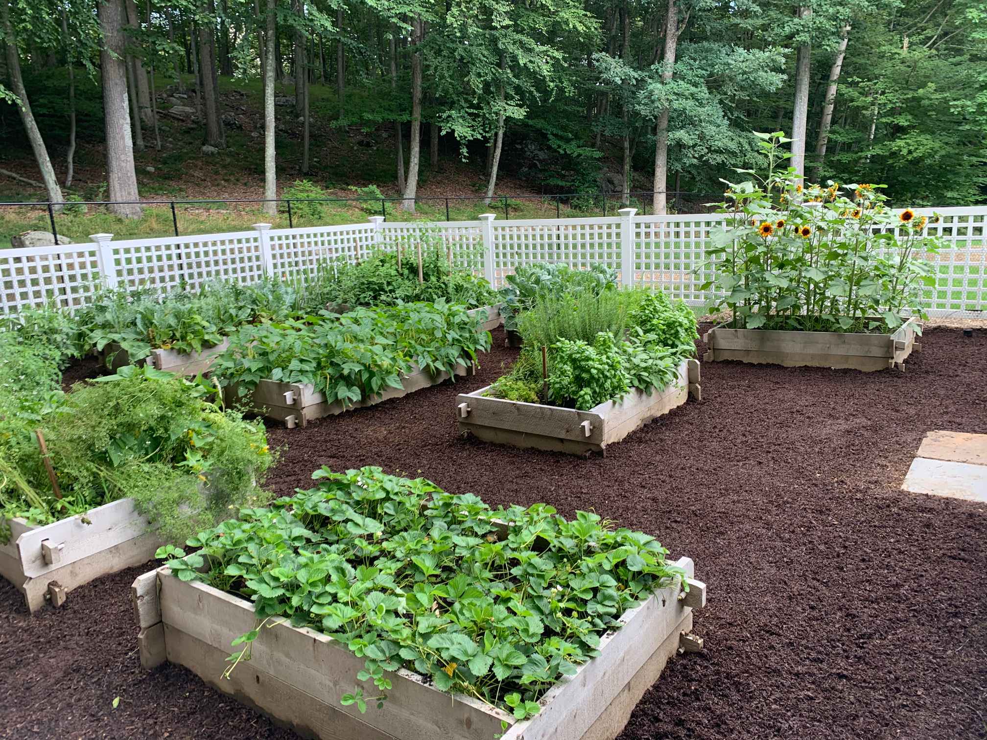 "Raised and Traditional Vegetable Gardens" Herb and Flower Gardens