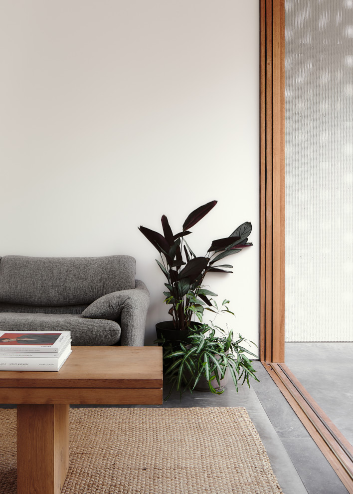 Imagen de salón abierto minimalista pequeño con paredes blancas, suelo de cemento y suelo gris