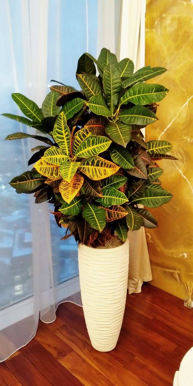 Аппартаменты в Москва Сити