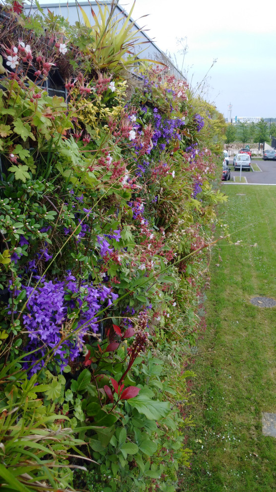 Végétaux naturels Façade végétalisée / Mur végétal extérieur (Lycée — free download