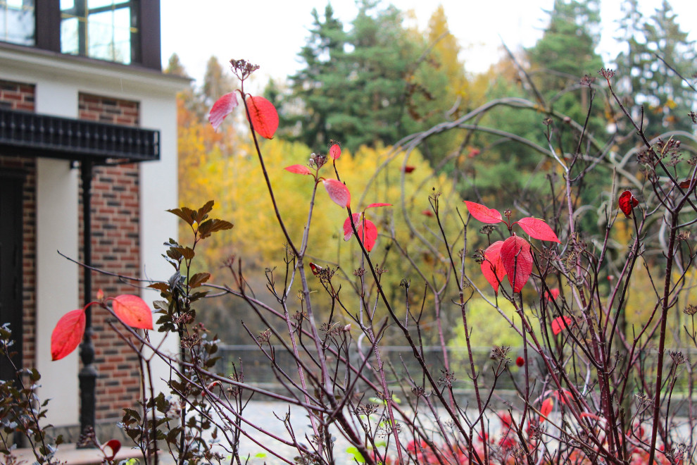 Генеральские дачи