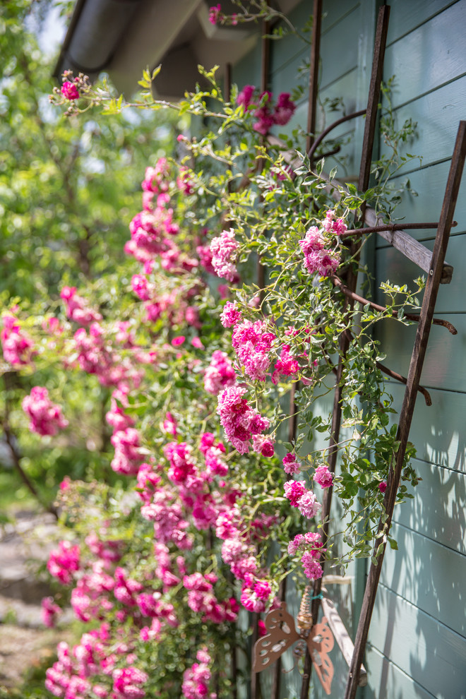 Country Pool in Stuttgart