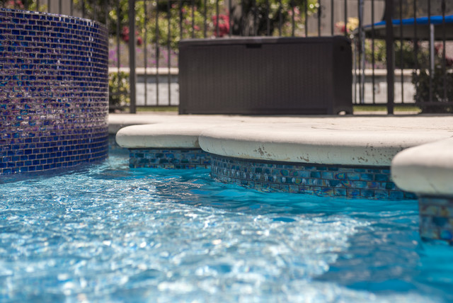 El Dorado Hills Pool & Spa tropisk-pool