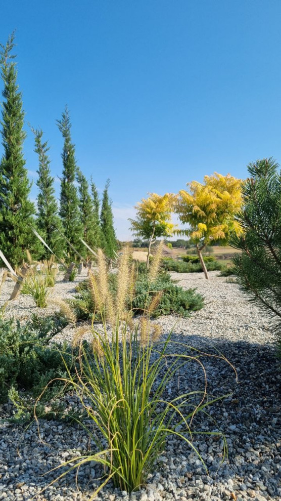 Реализация проекта Сад Реки