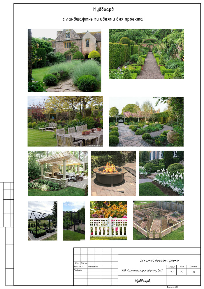 Лес или сад