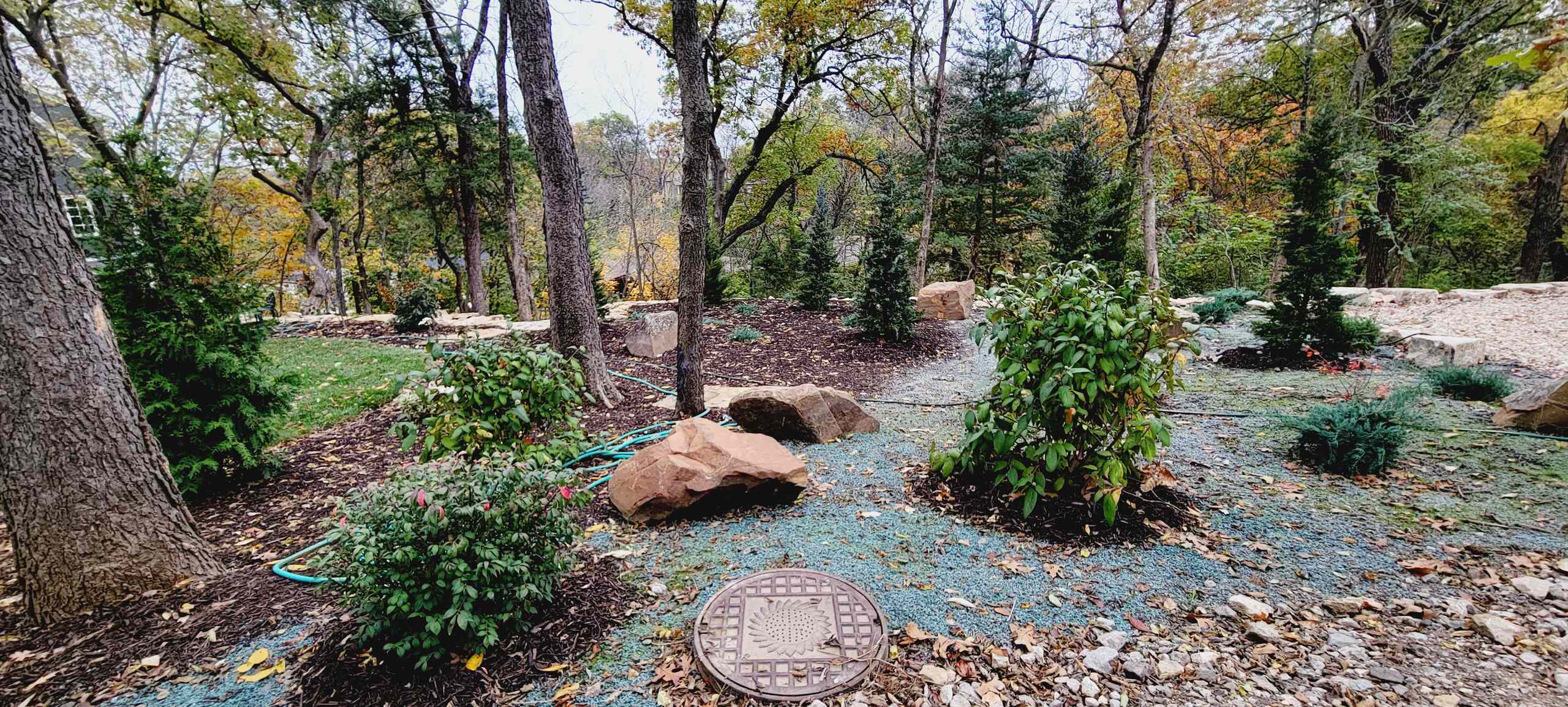 Woodland Restoration