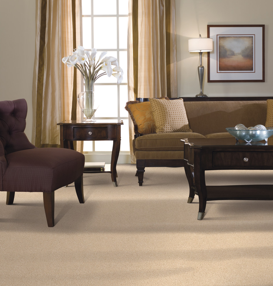 Bradford Carpet One Floor & Home Transitional Living Room Boston