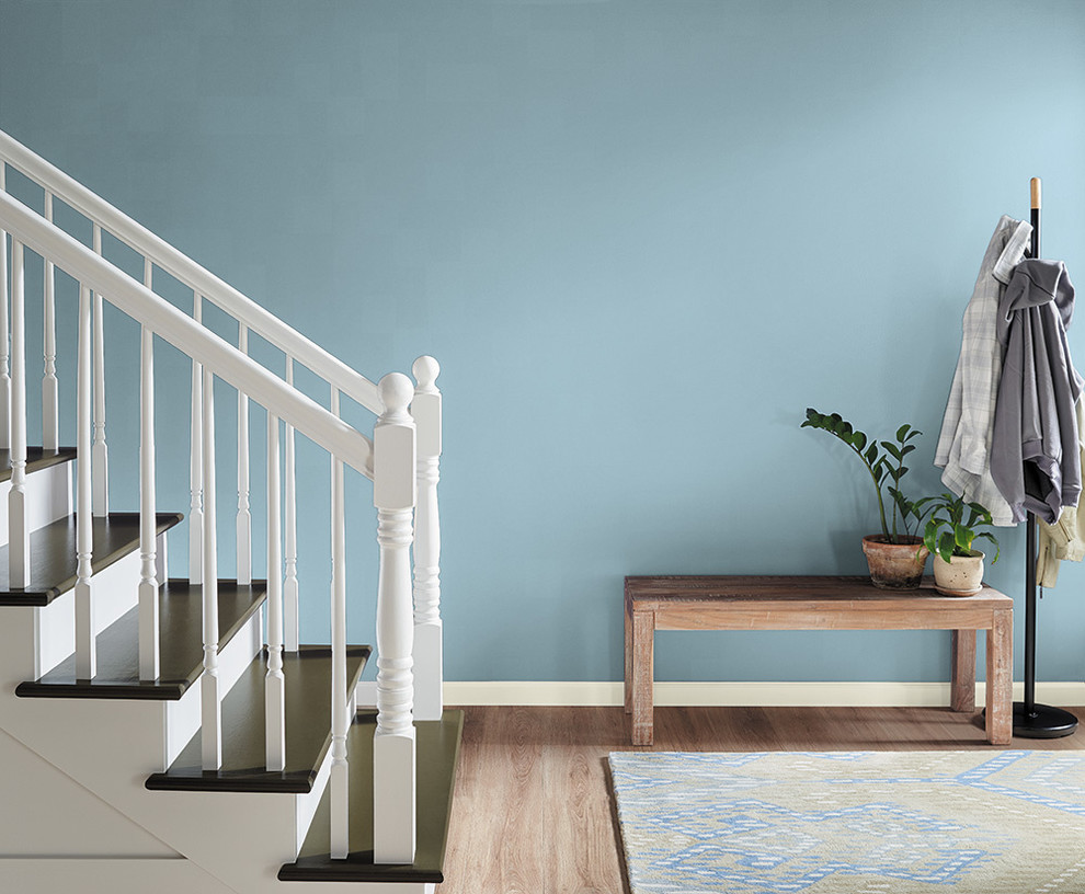 Inspiration for a contemporary hallway in Orange County with blue walls.