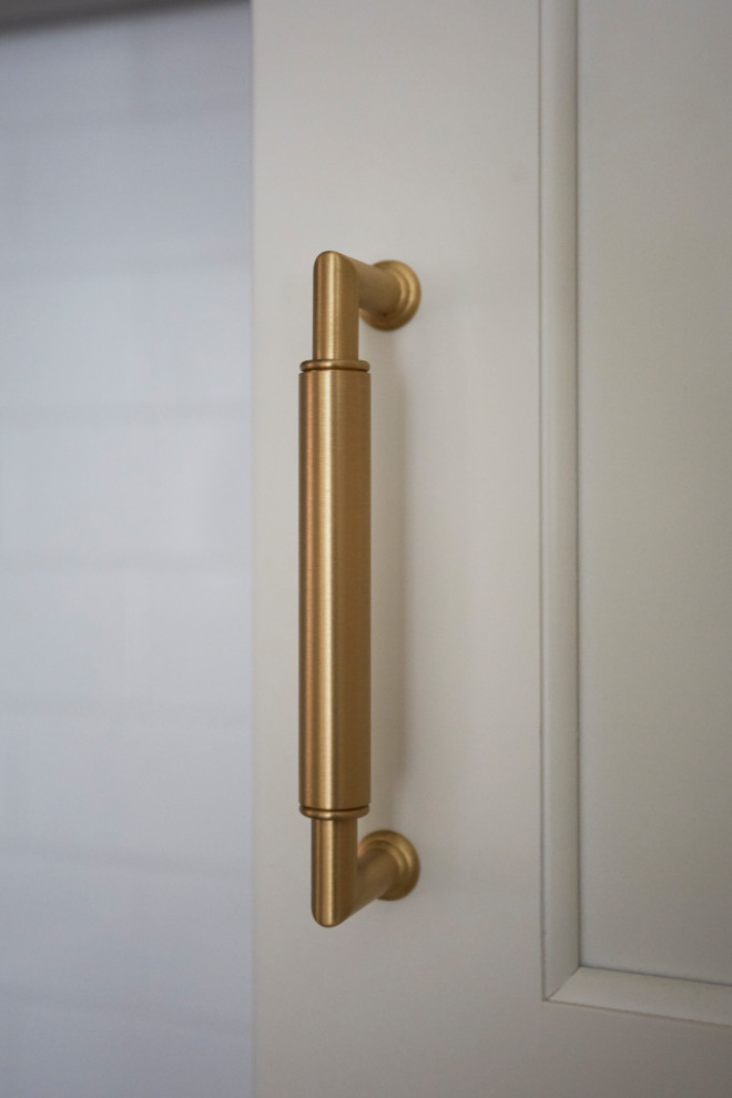 Inspiration for a transitional home design remodel in Chicago