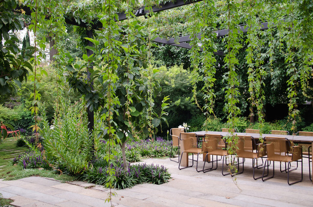 Different Uses of Climbing Vines - Meadowbrook Design