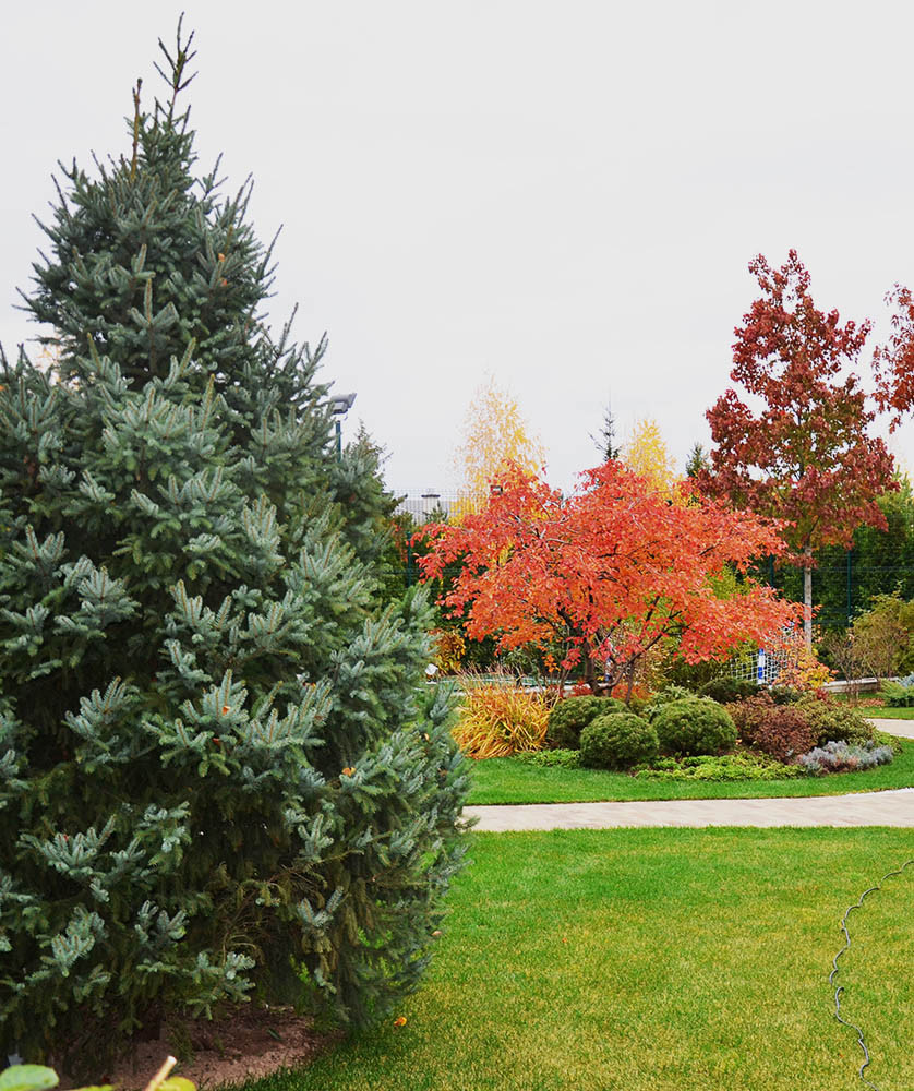 Современный сад в КП "Бенелюкс" вилла 1