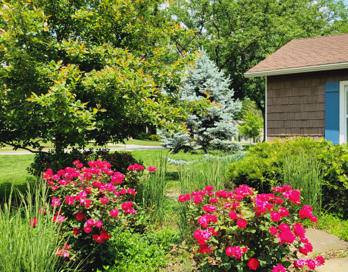 2025 Garden Highlights