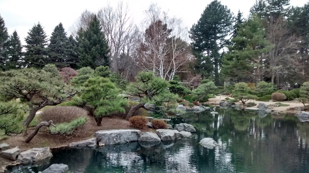 Native Gardens Outgrow Their 'Messy' Reputation