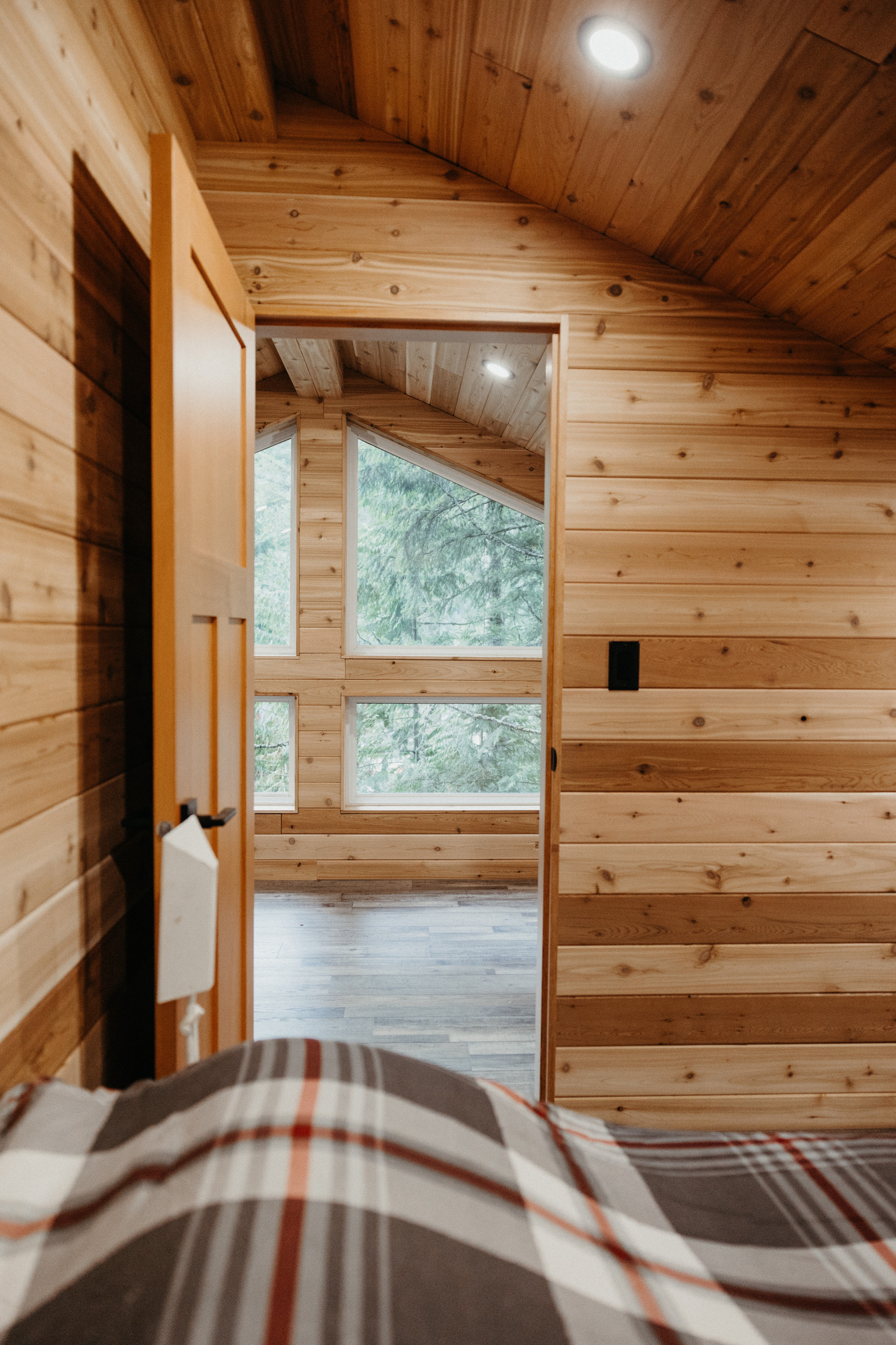 Cabin in the woods