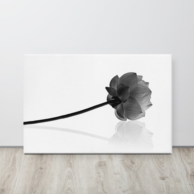 Black And White Flower Canvas Wall Art Resting Lotus Floral Photo, 24 ...
