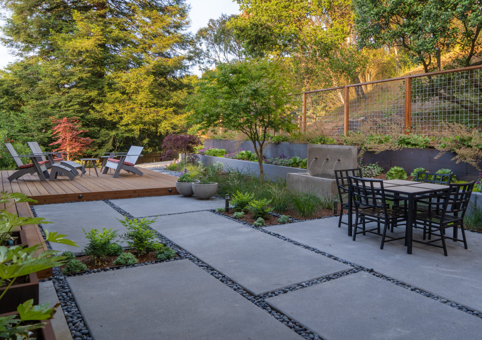 Свежая идея для дизайна: засухоустойчивый сад среднего размера на заднем дворе в современном стиле с мощением тротуарной плиткой - отличное фото интерьера