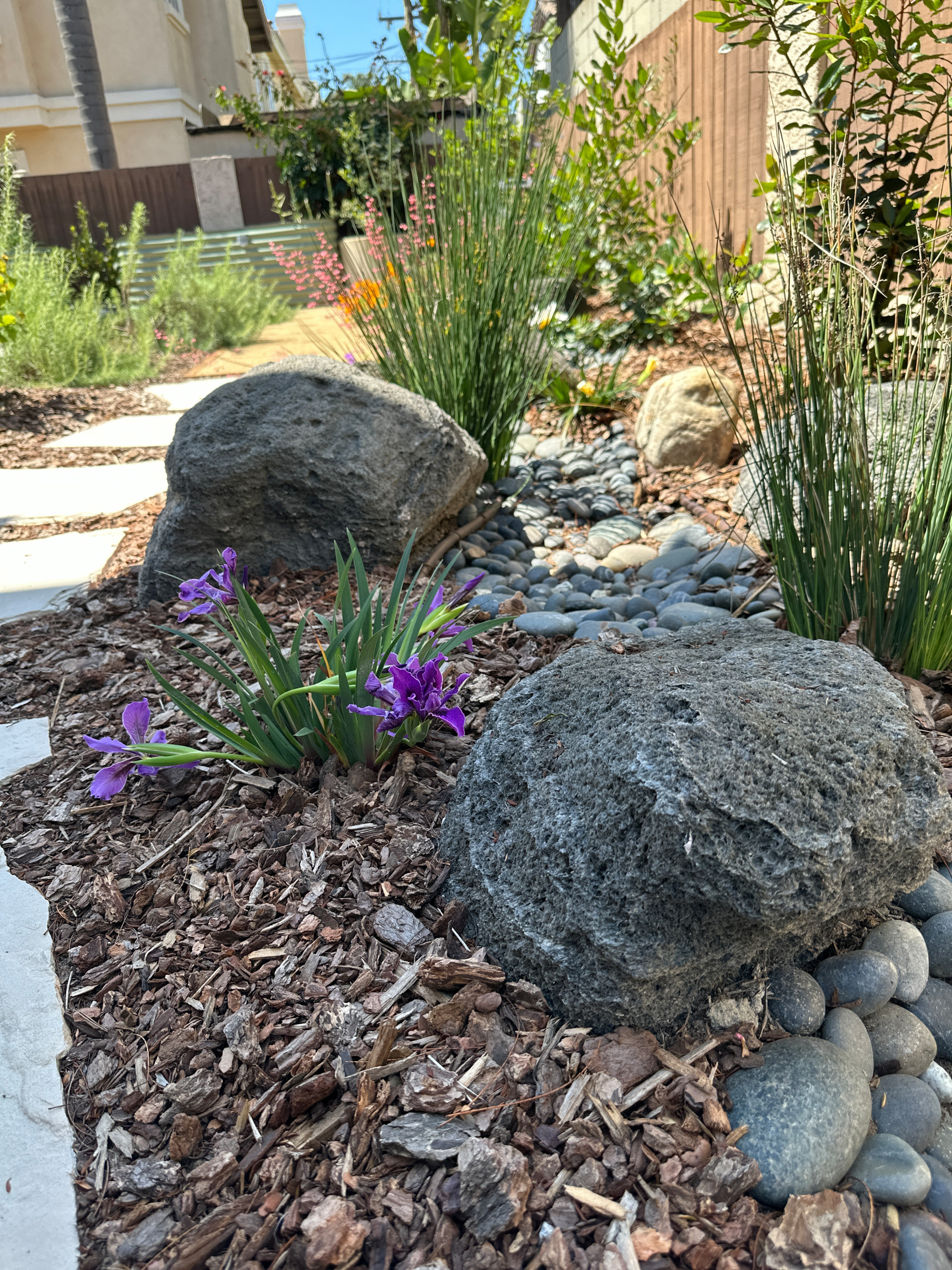 A Condo's Peaceful Front Yard Respite