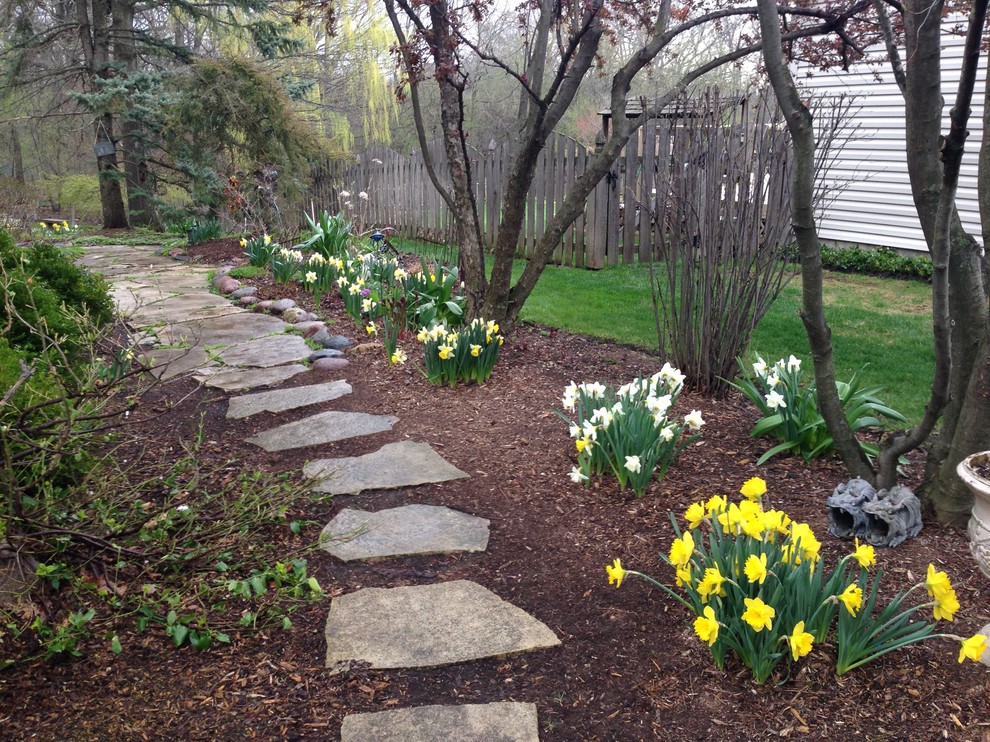 Spring Bulbs