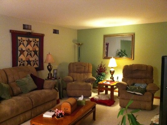 Living room - mid-sized traditional enclosed carpeted living room idea in Chicago with green walls