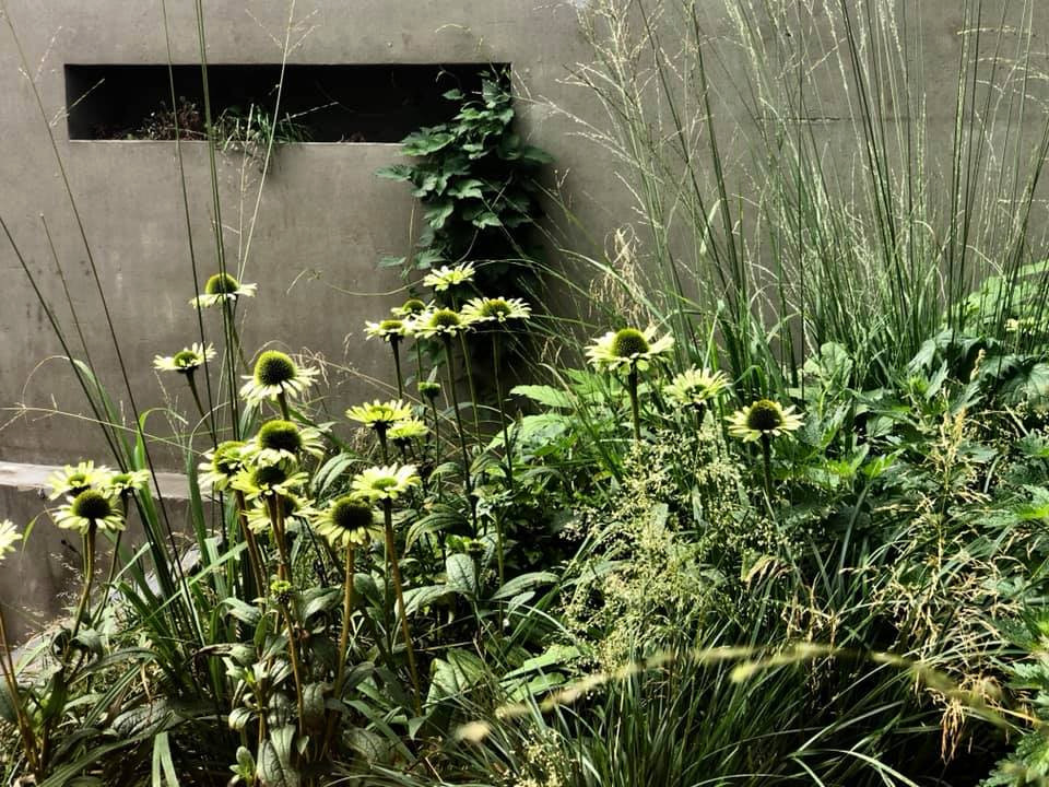 Выше крыши. Цветочный джем