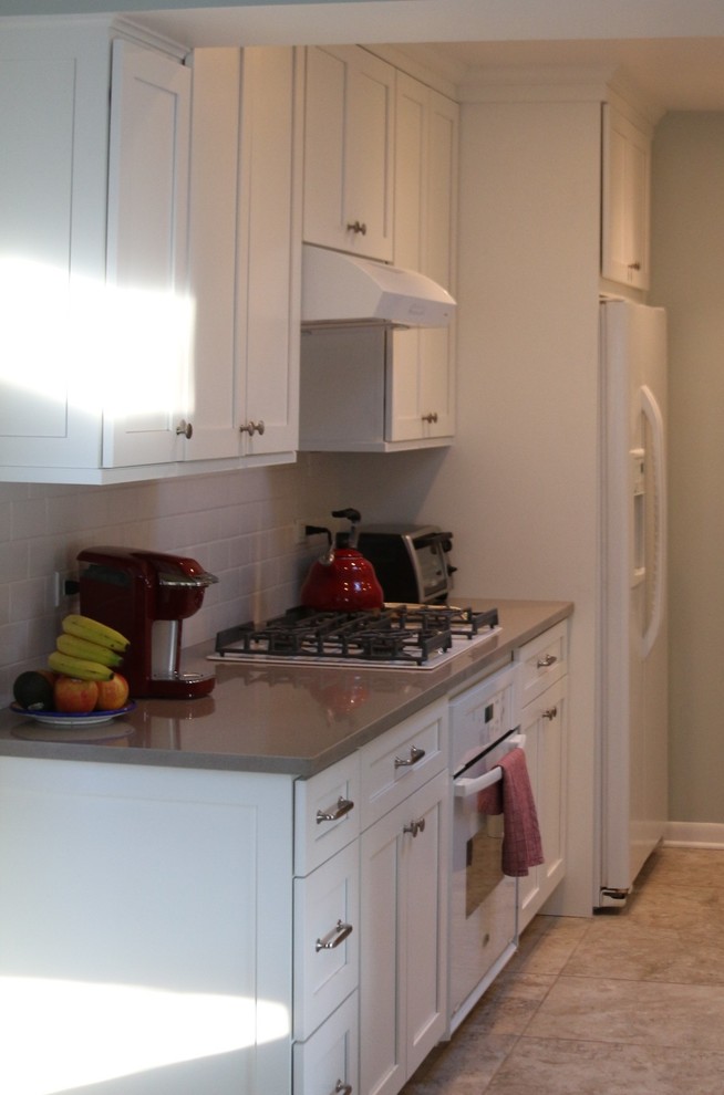 Kitchen - transitional kitchen idea in Chicago
