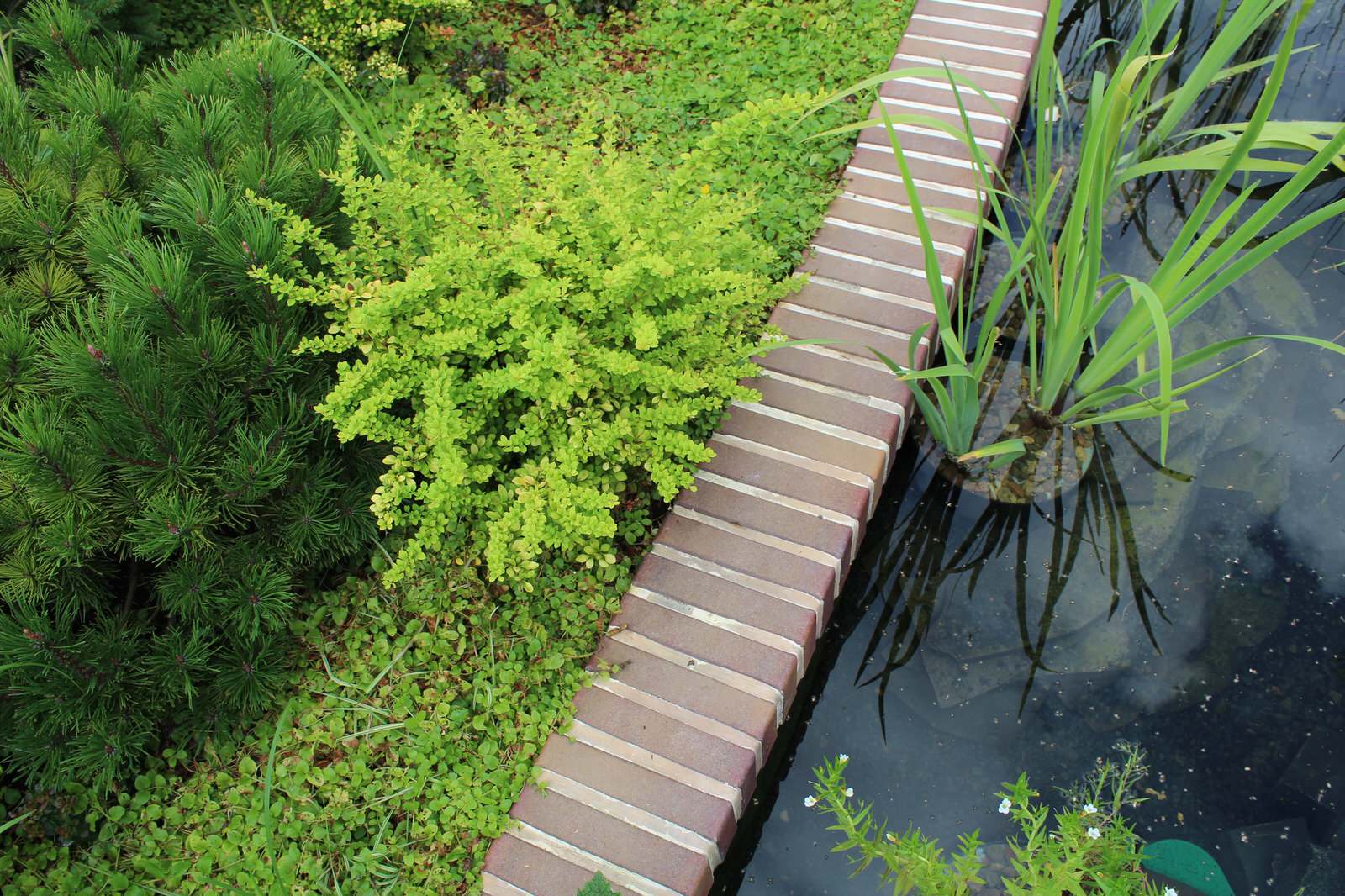 Всеволожск